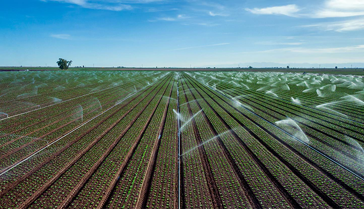 PerfectHome Paneles Solares