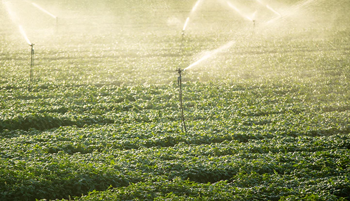 PerfectHome Paneles Solares